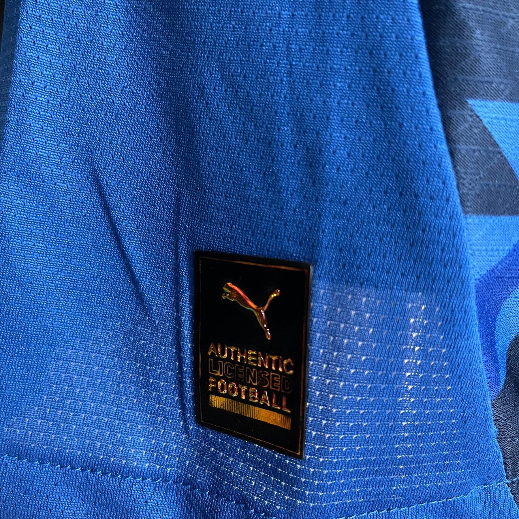 CAMISA AL-HILAL VERSÃO JOGADOR HOME 24/25