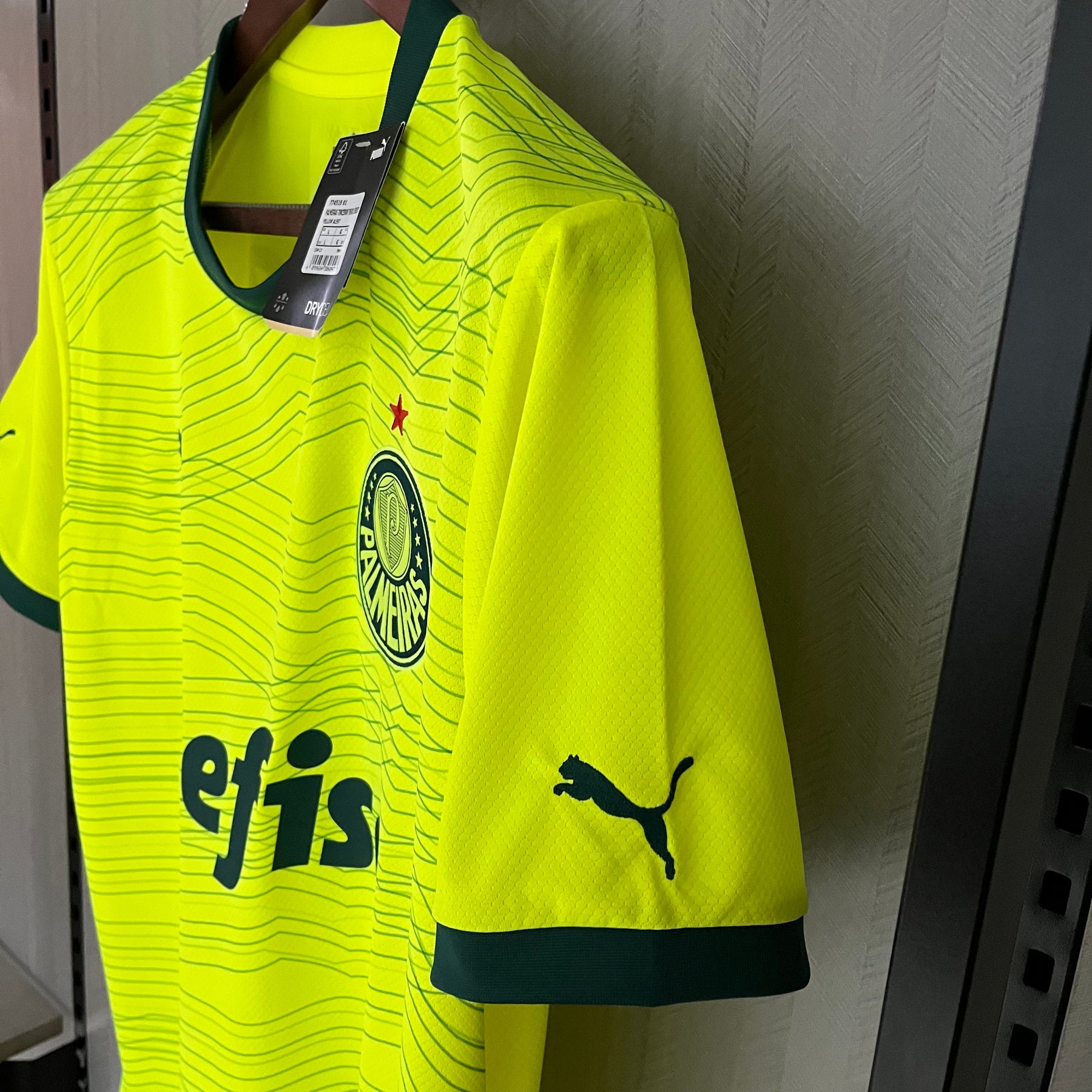 CAMISA PALMEIRAS THIRD 23/24