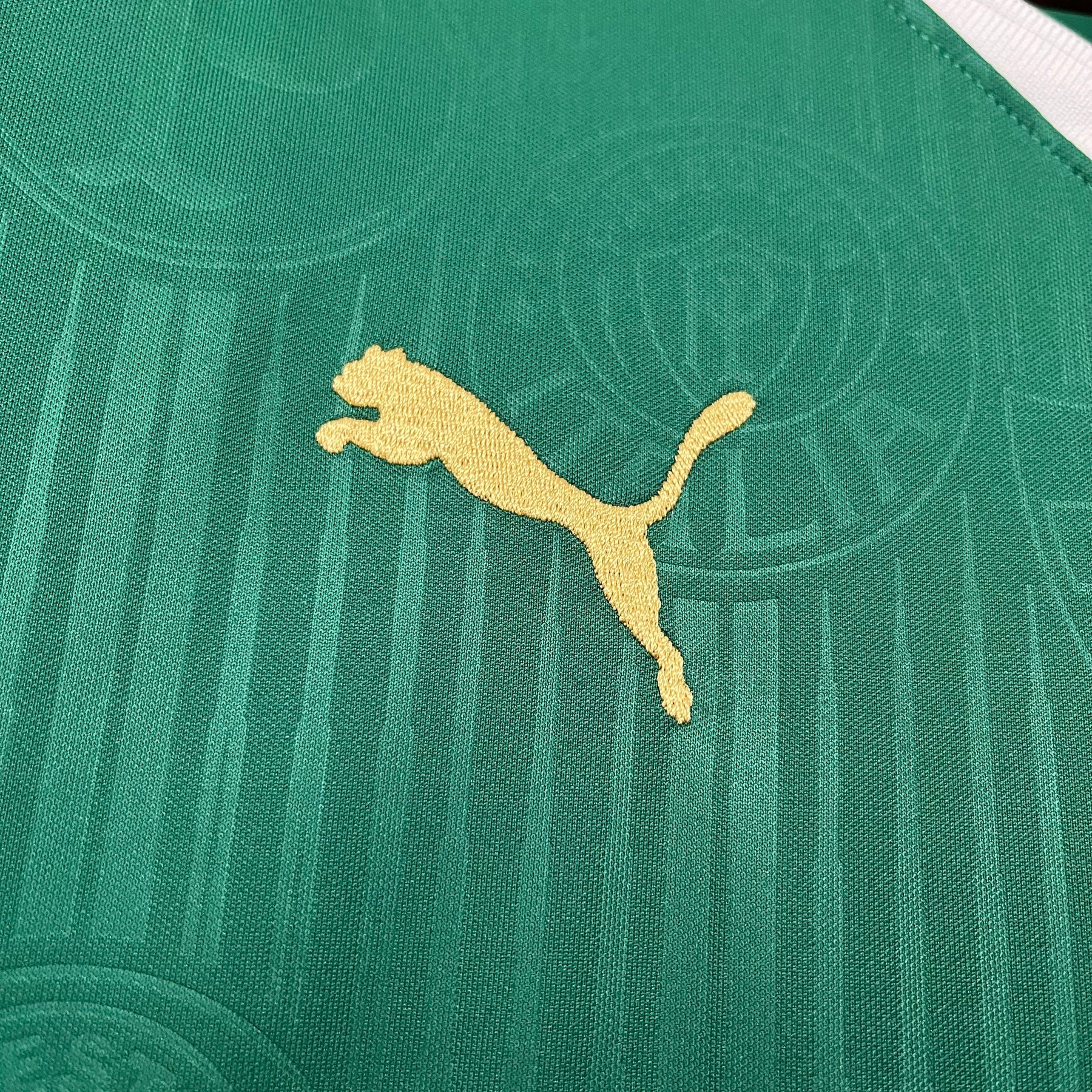CAMISA PALMEIRAS HOME 24/25
