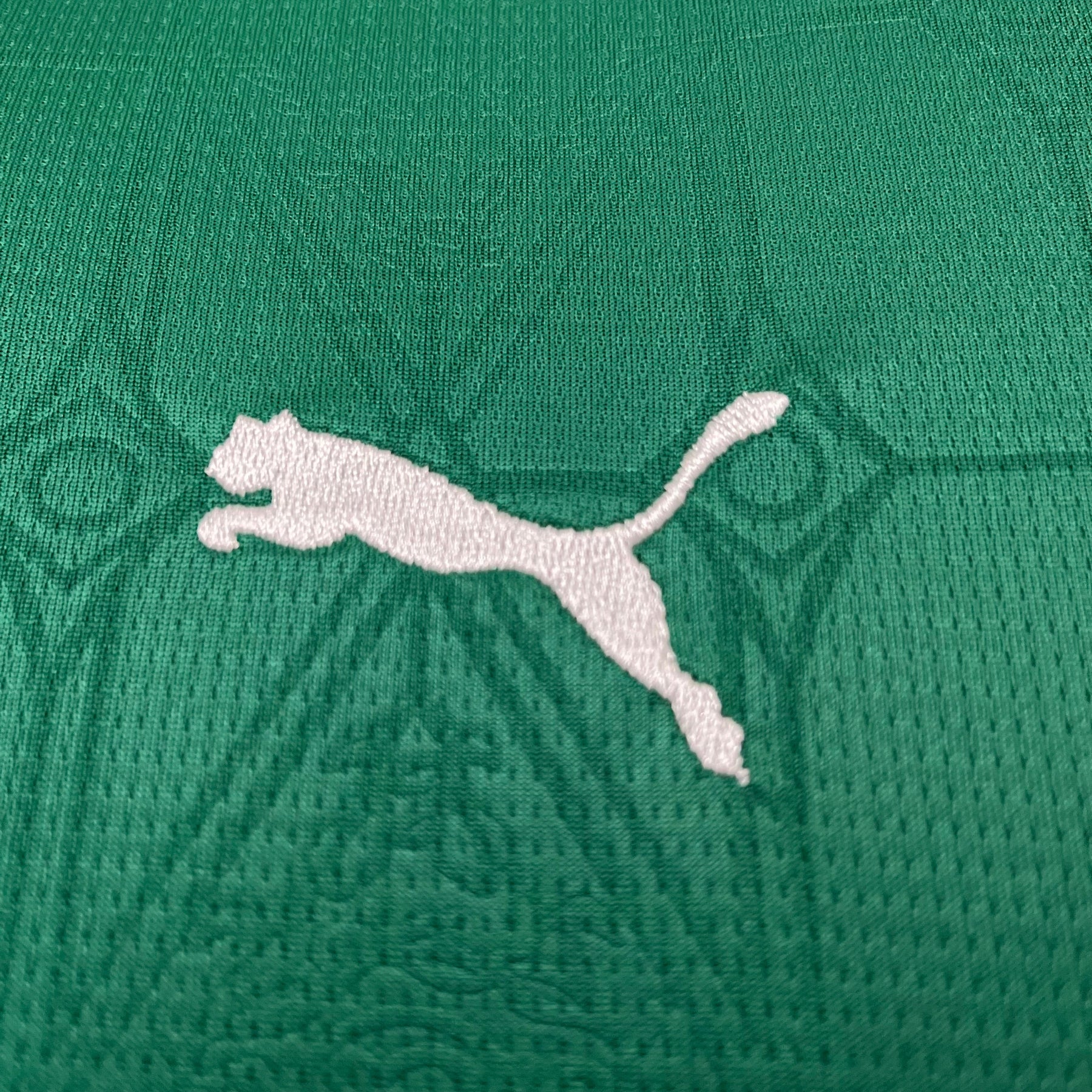 KIT INFANTIL PALMEIRAS HOME 25/26