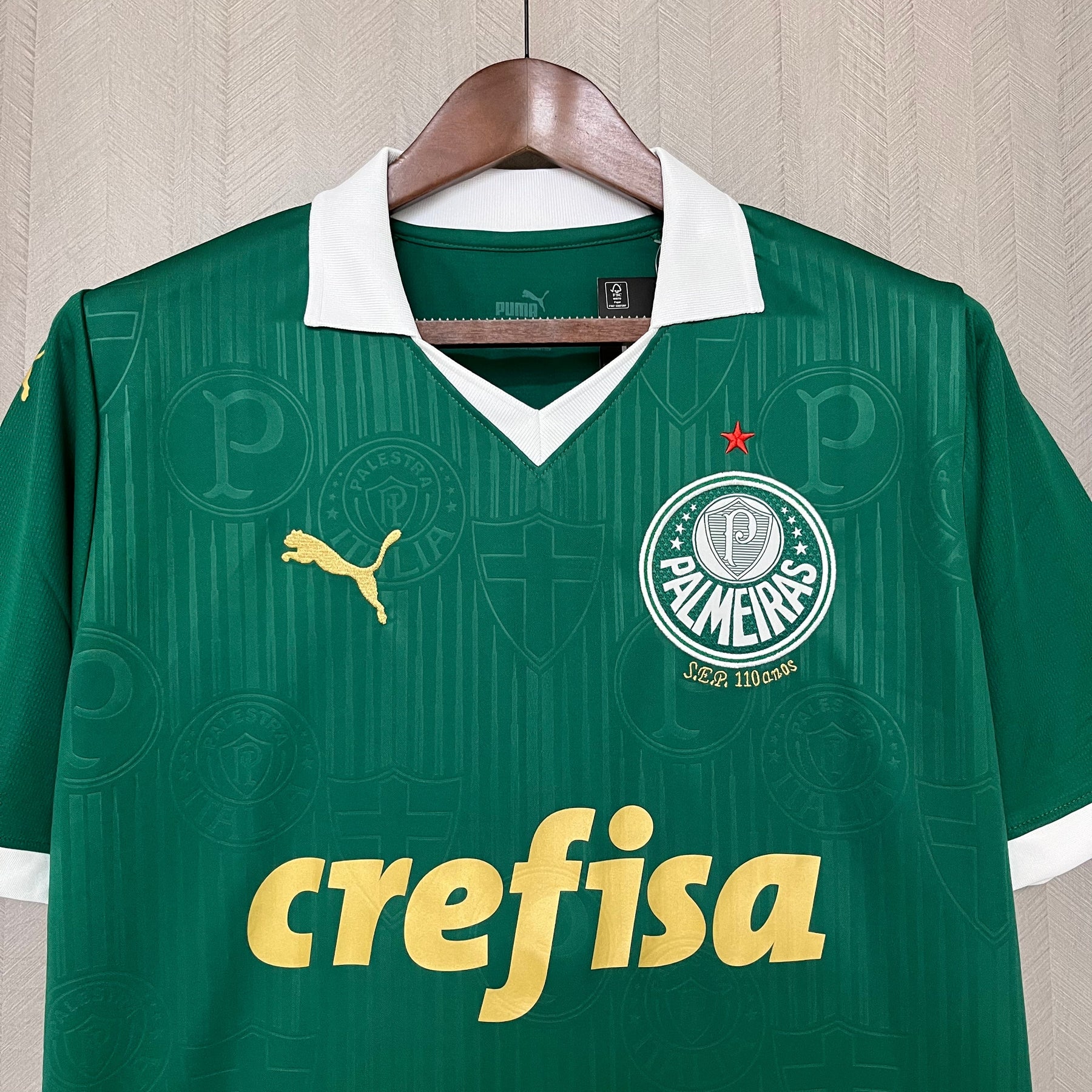 CAMISA PALMEIRAS HOME 24/25