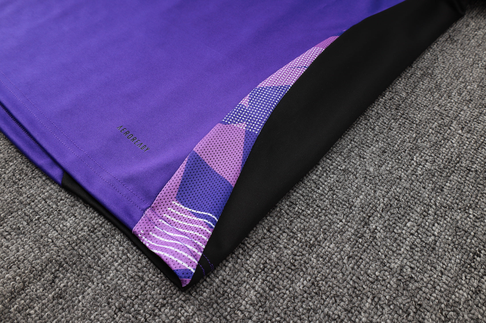 CONJUNTO DE TREINO ALEMANHA PURPLE 24/25