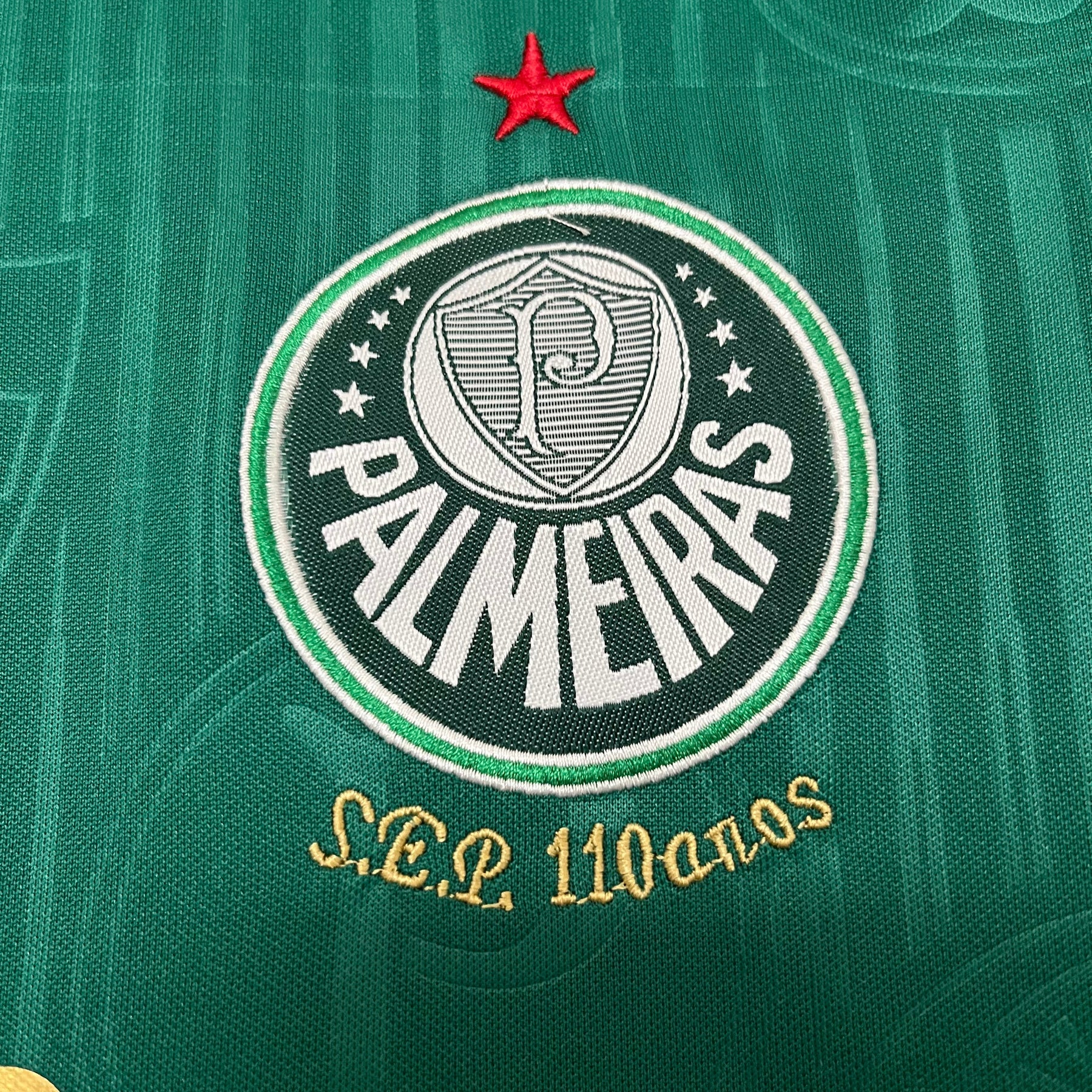 KIT INFANTIL PALMEIRAS HOME 24/25