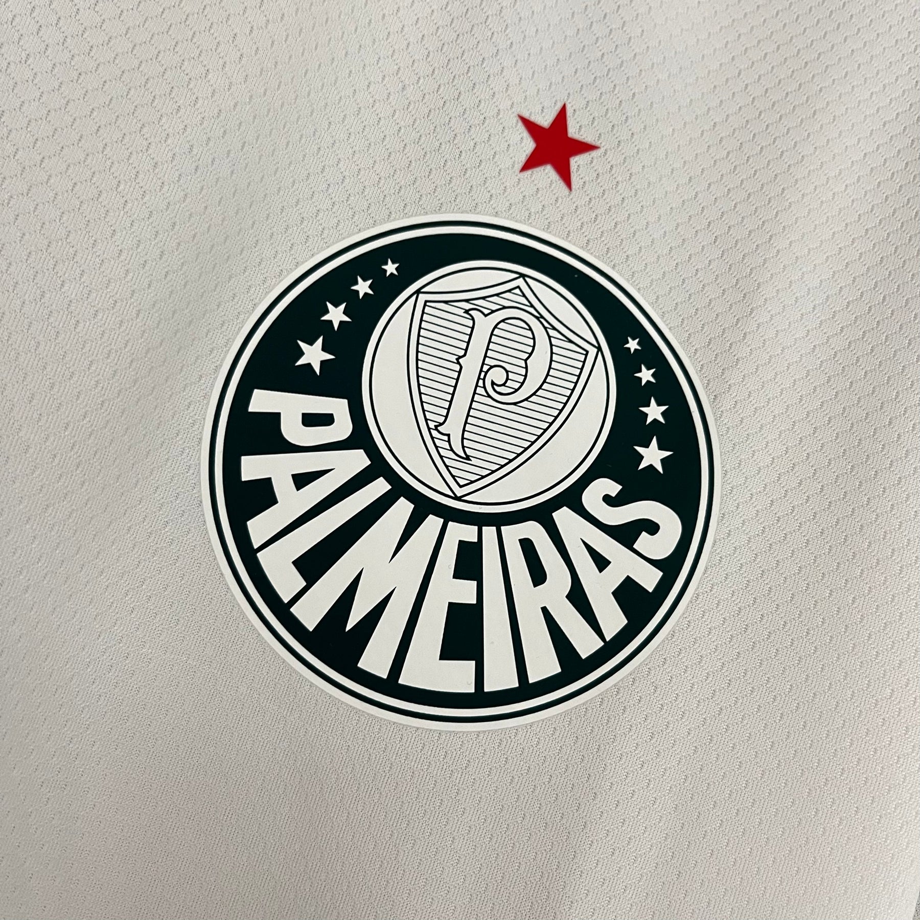 CAMISA PALMEIRAS AWAY 23/24