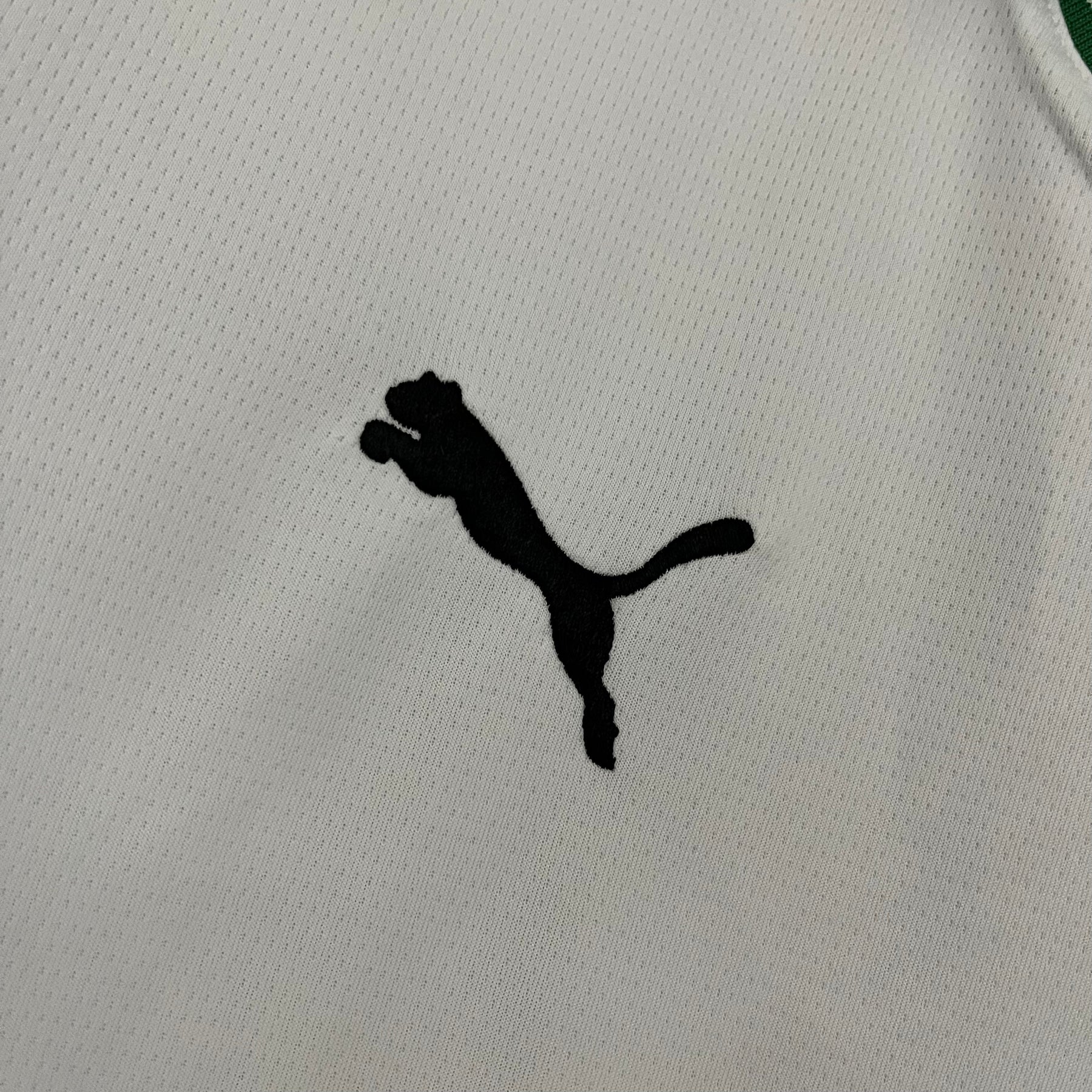 CAMISA BORUSSIA MONCHENGLADBACH HOME 23/24