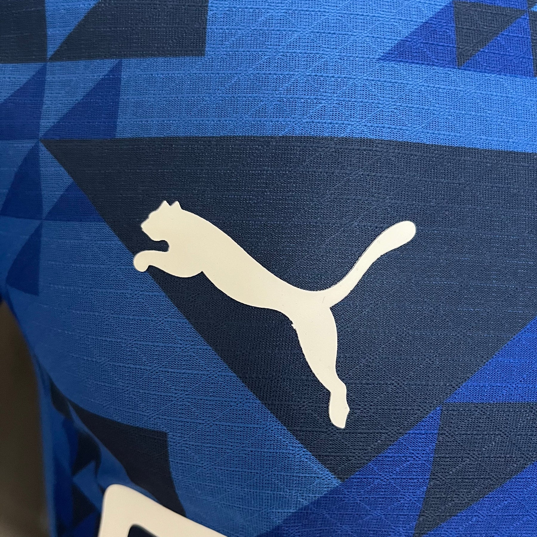 CAMISA AL-HILAL VERSÃO JOGADOR HOME 24/25