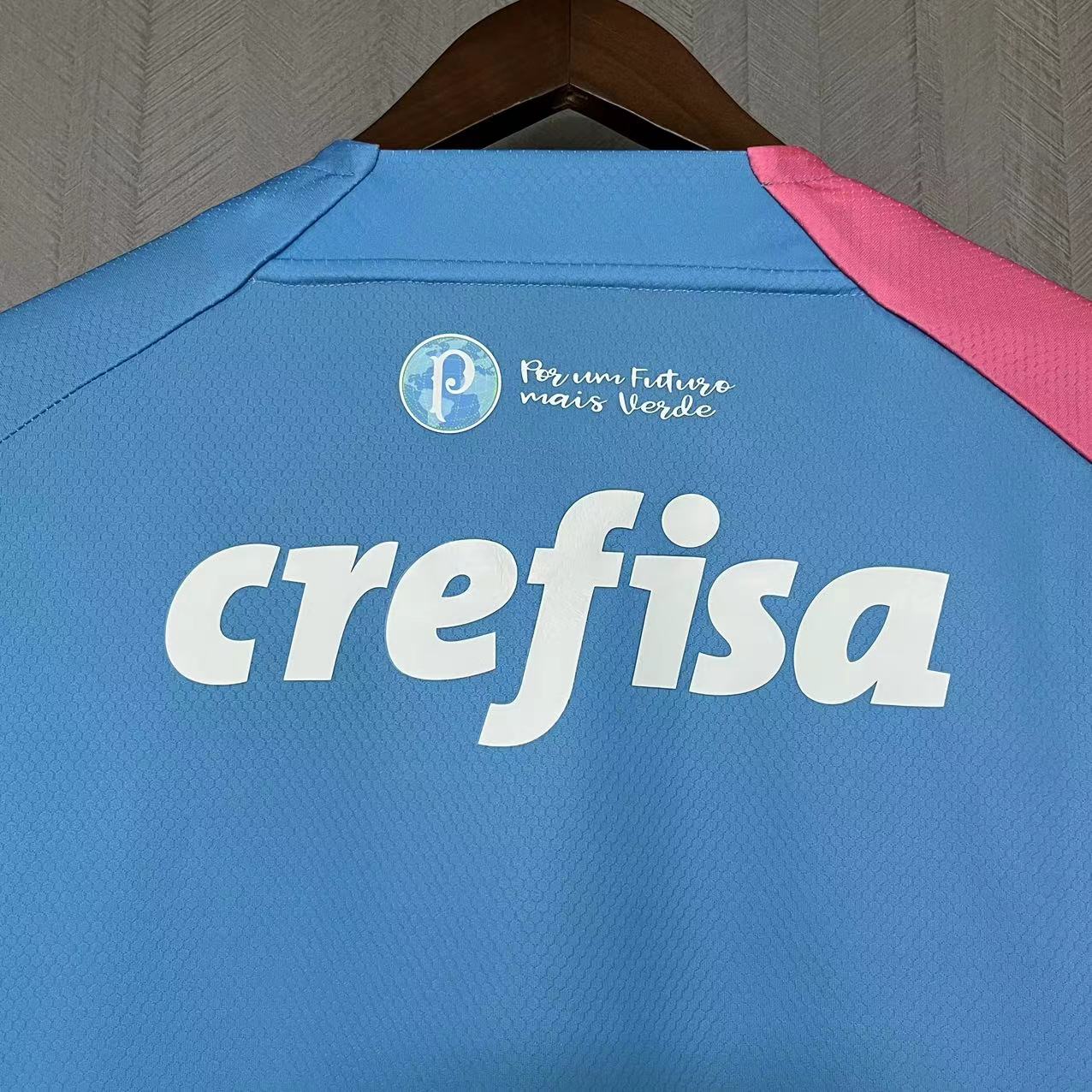 CAMISA PALMEIRAS OUTUBRO ROSA & NOVEMBRO AZUL AWAY 23/24