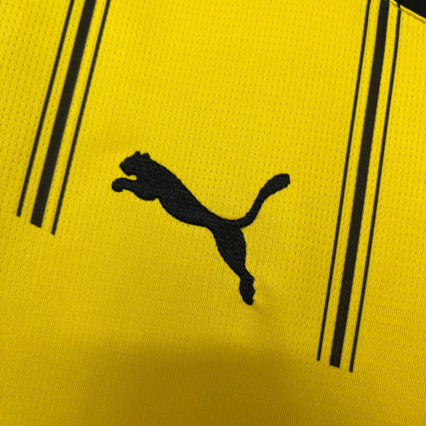 CAMISA BORUSSIA DORTMUND HOME 24/25