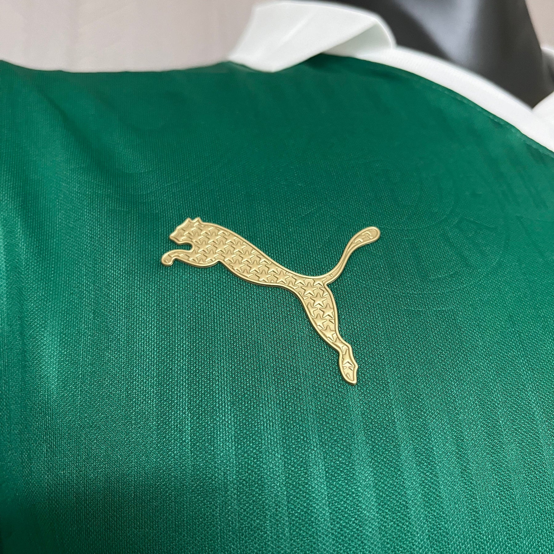 CAMISA PALMEIRAS VERSÃO JOGADOR HOME 24/25