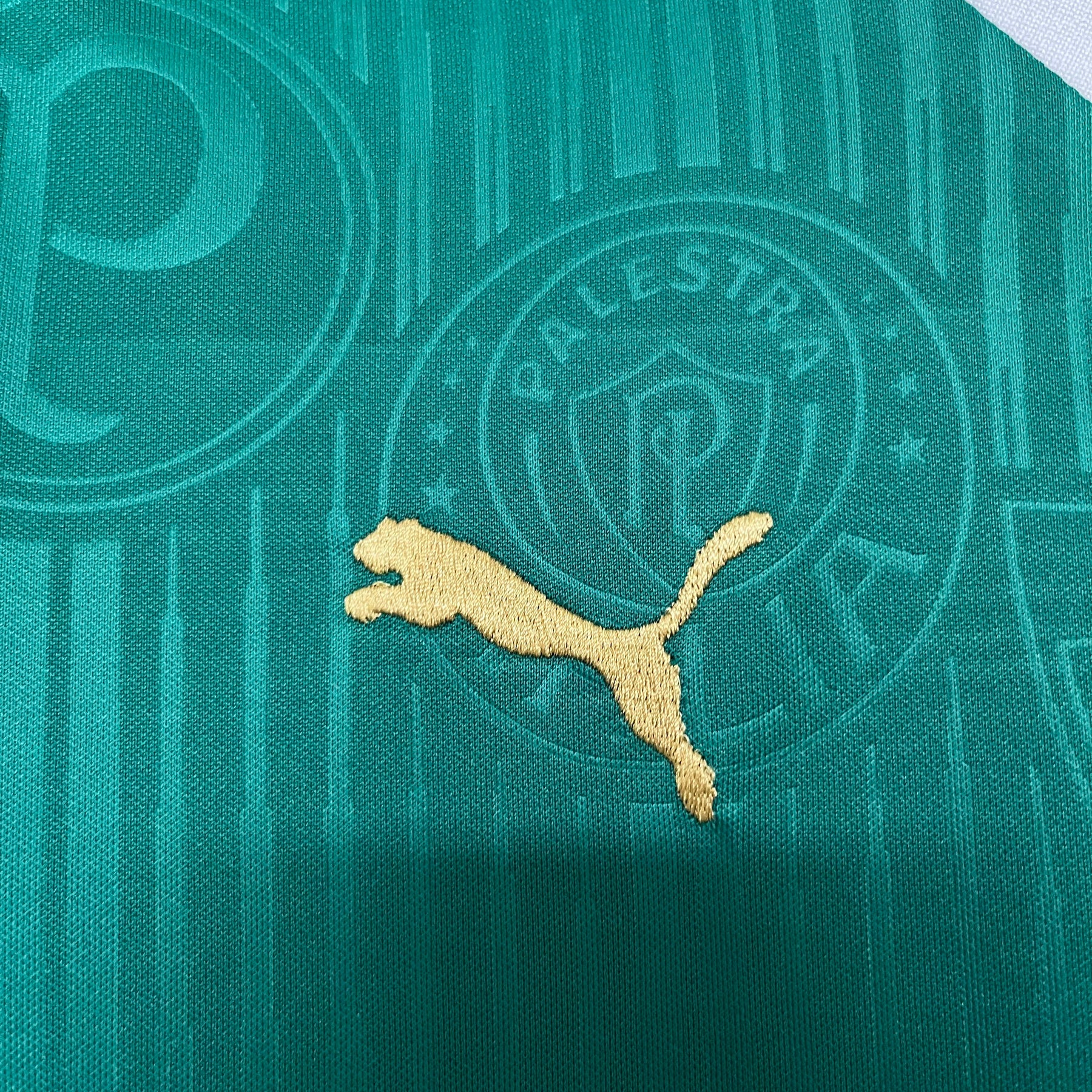 KIT INFANTIL PALMEIRAS HOME 24/25