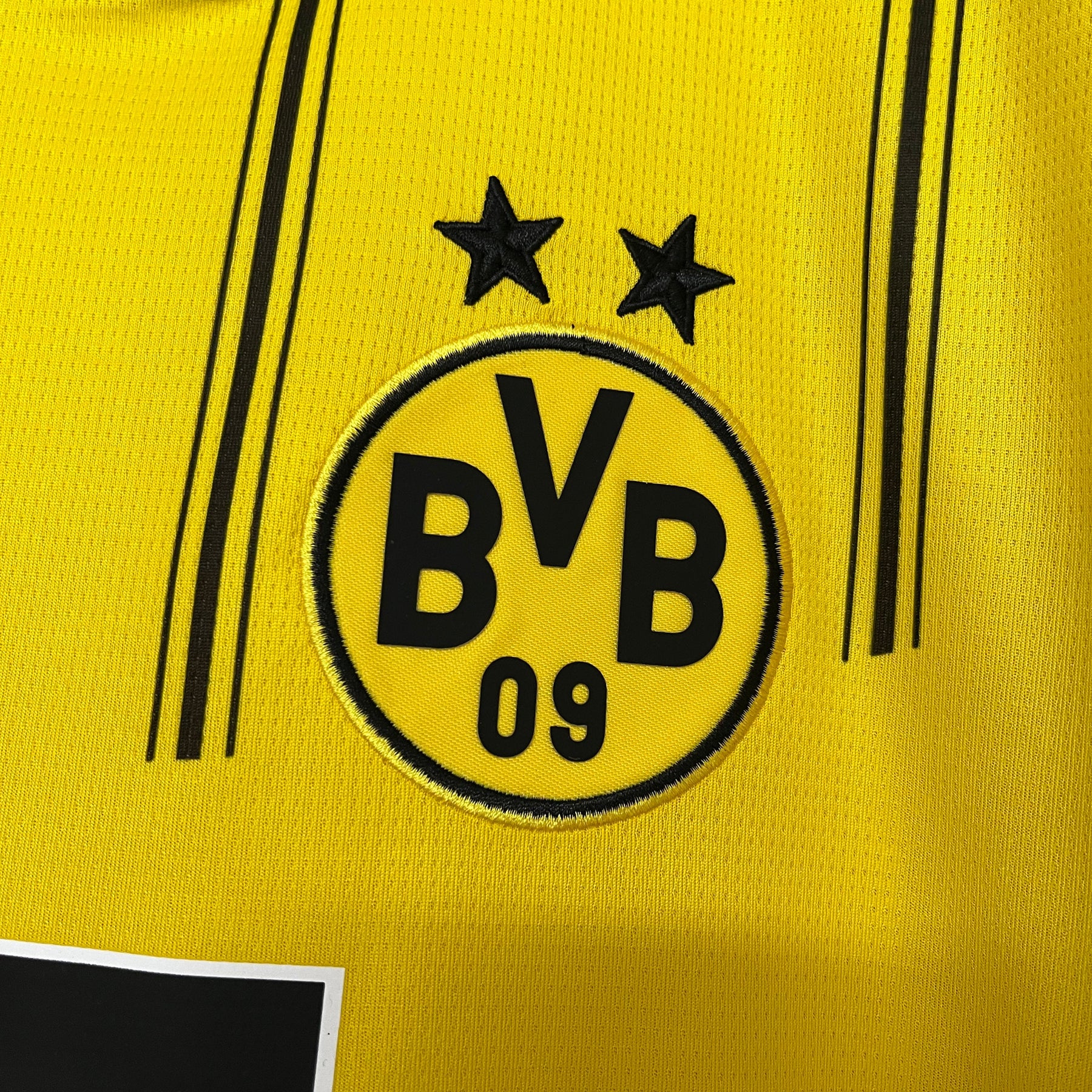CAMISA BORUSSIA DORTMUND HOME 24/25
