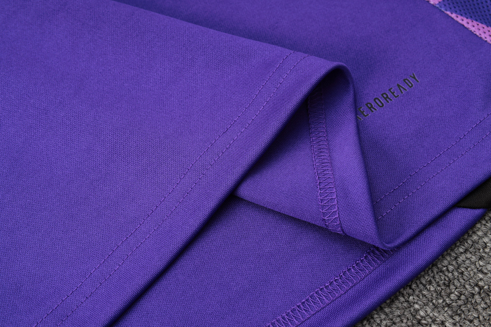 CONJUNTO DE TREINO ALEMANHA PURPLE 24/25