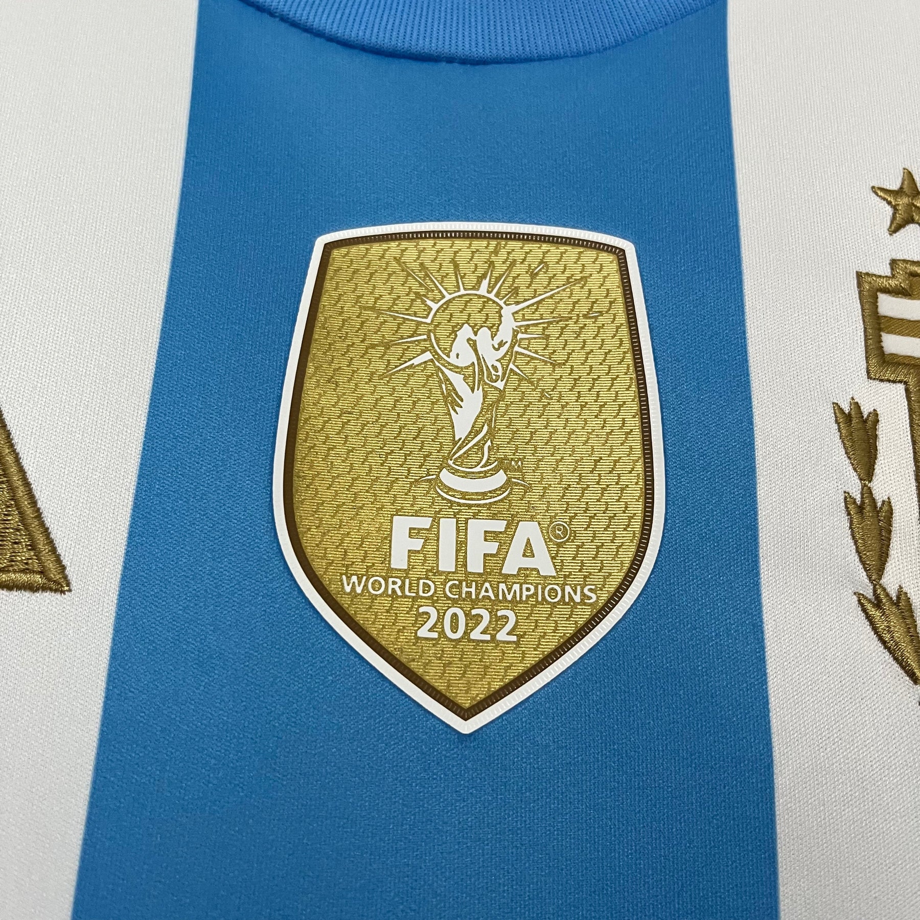 CAMISA ARGENTINA HOME 24/25