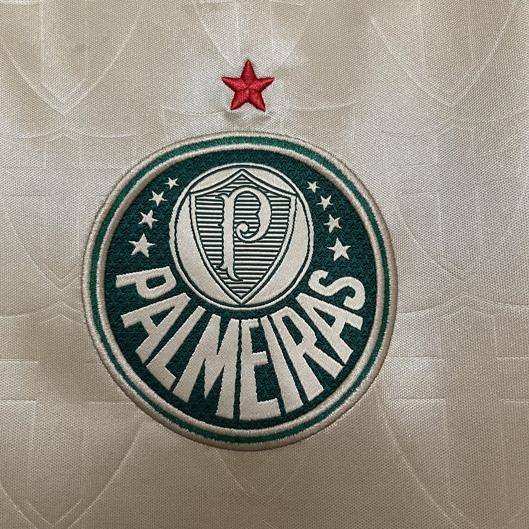 CAMISA PALMEIRAS THIRD 24/25