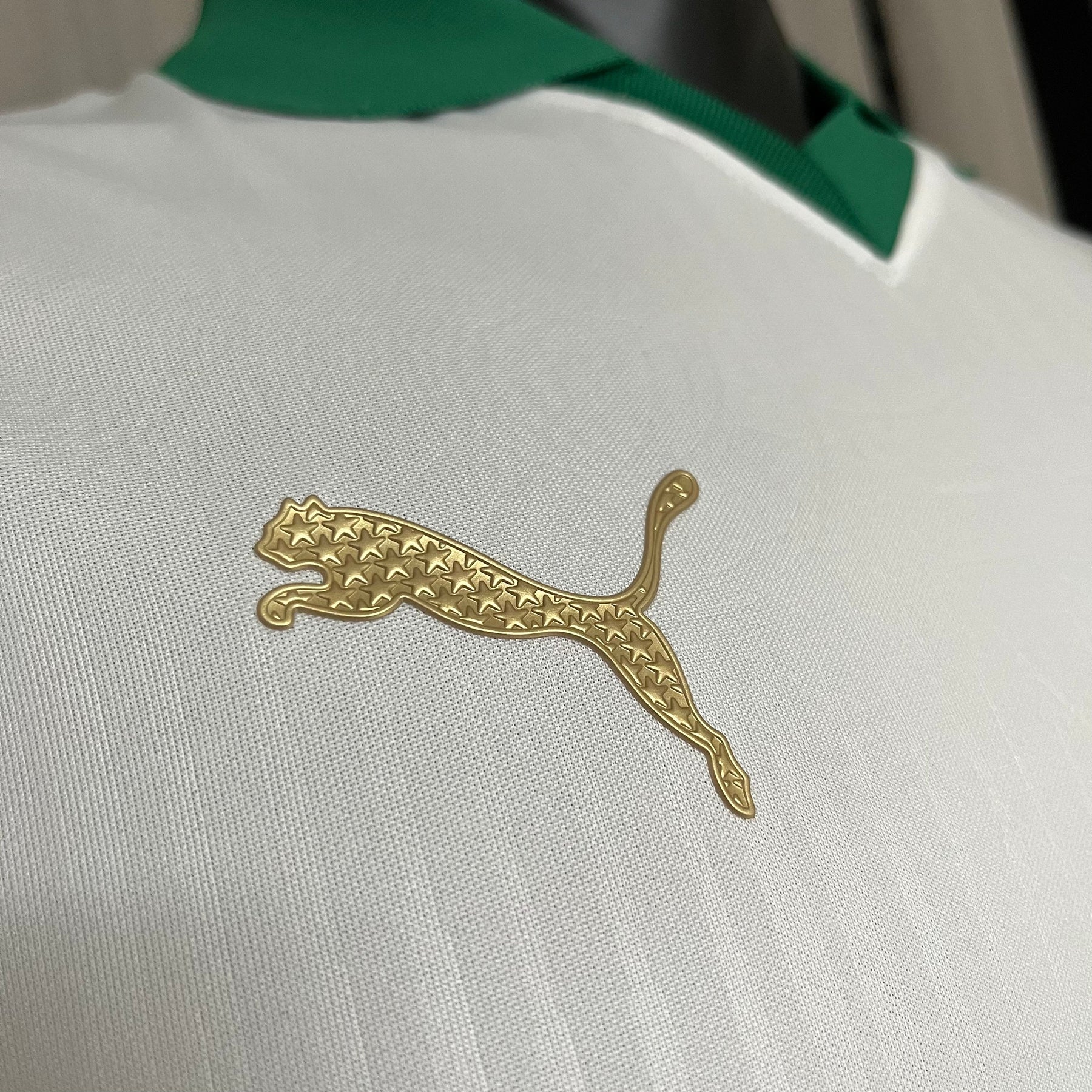 CAMISA PALMEIRAS VERSÃO JOGADOR AWAY 24/25