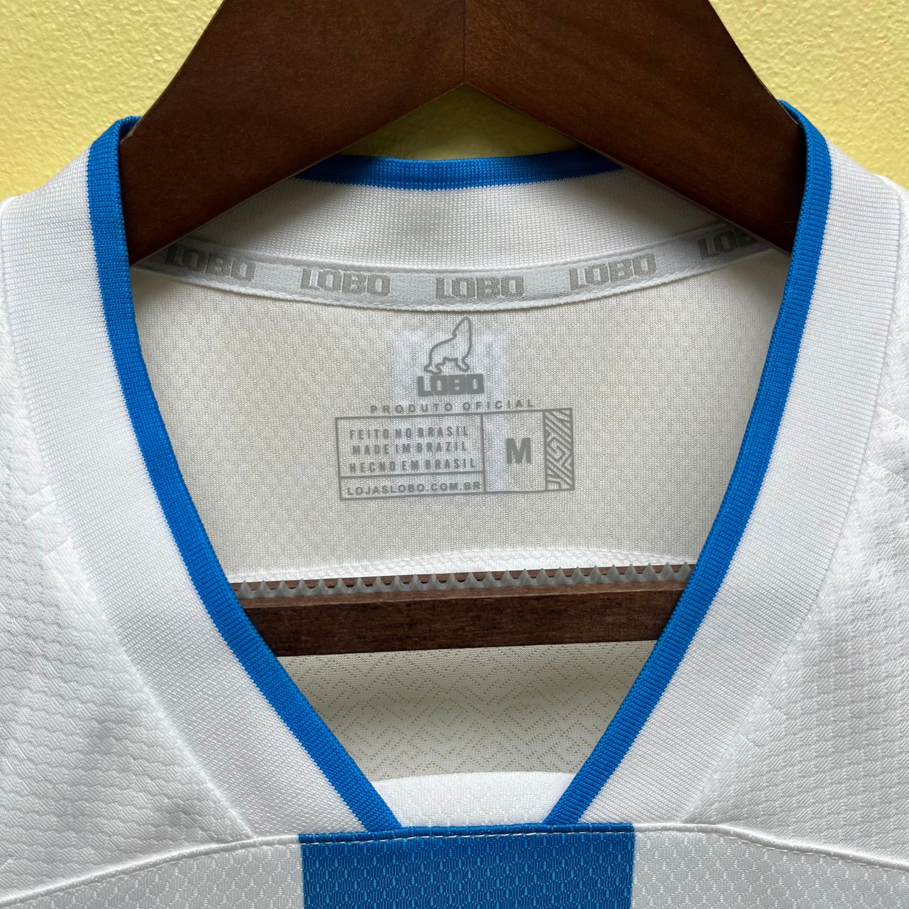 CAMISA PAYSANDU FEMININA HOME 23/24