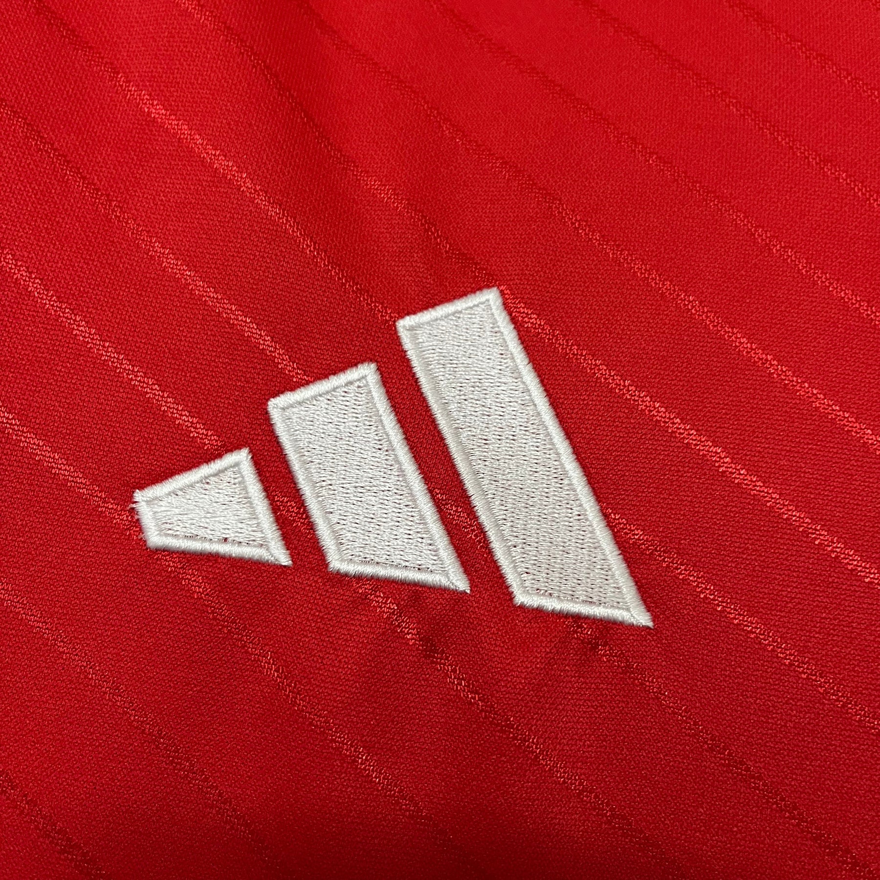 CAMISA BENFICA HOME 24/25