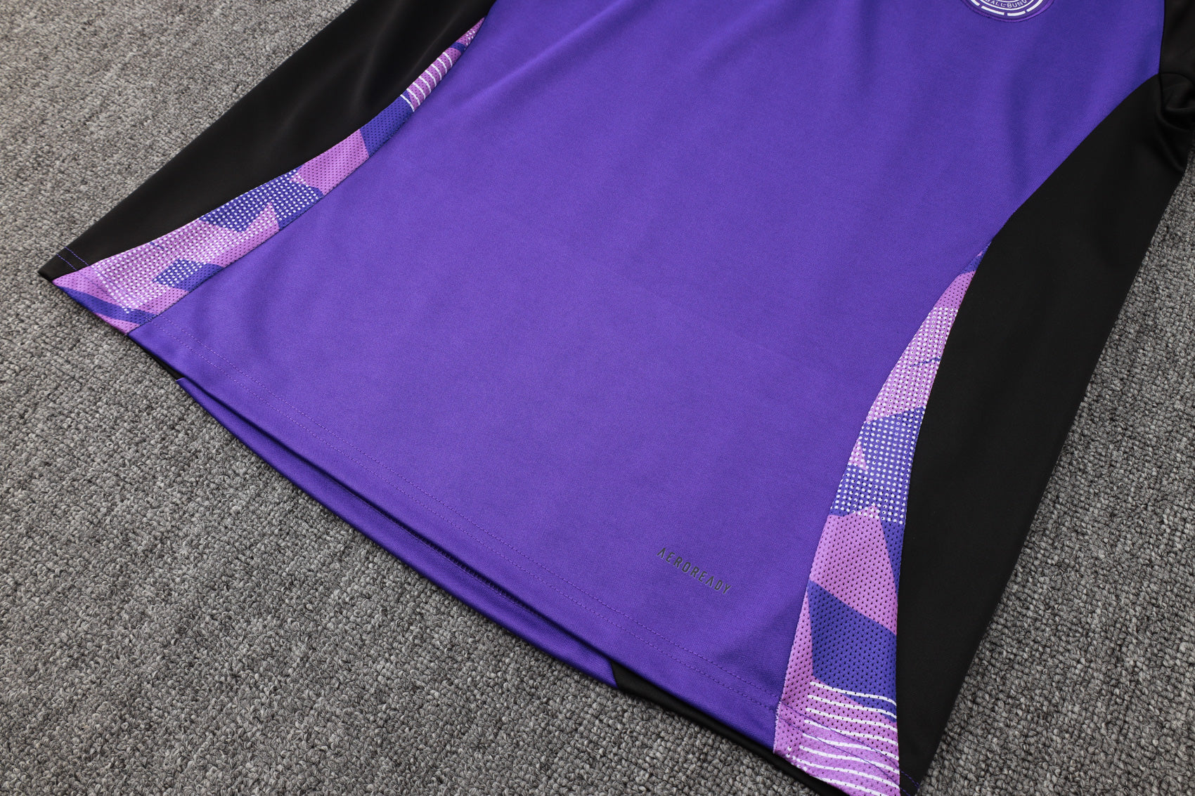 CONJUNTO DE TREINO ALEMANHA PURPLE 24/25