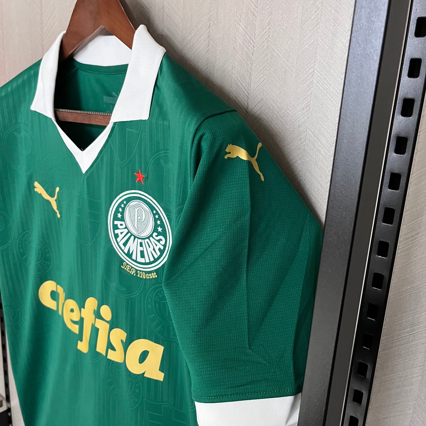 CAMISA PALMEIRAS HOME 24/25