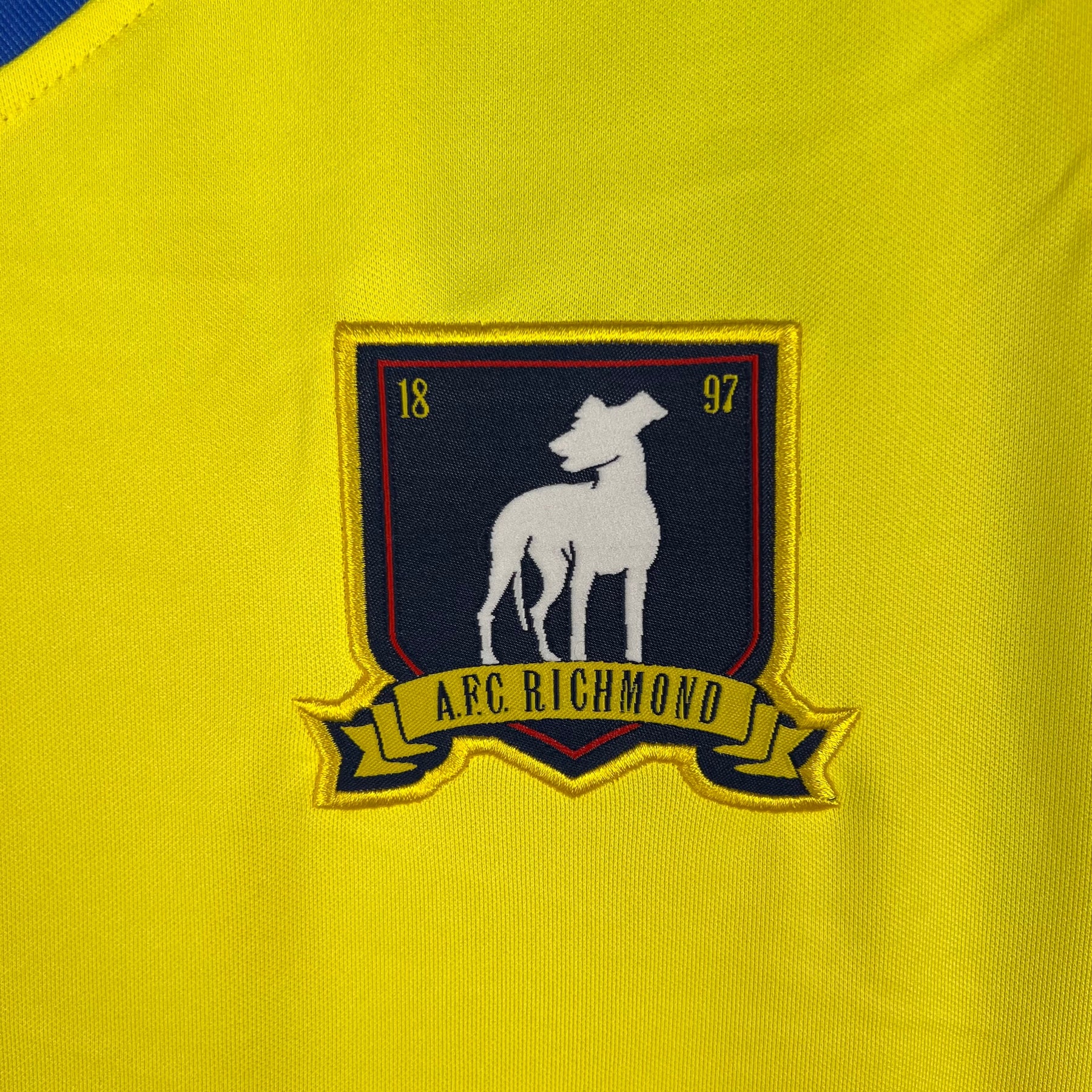 CAMISA AFC RICHMOUND THIRD 23/24