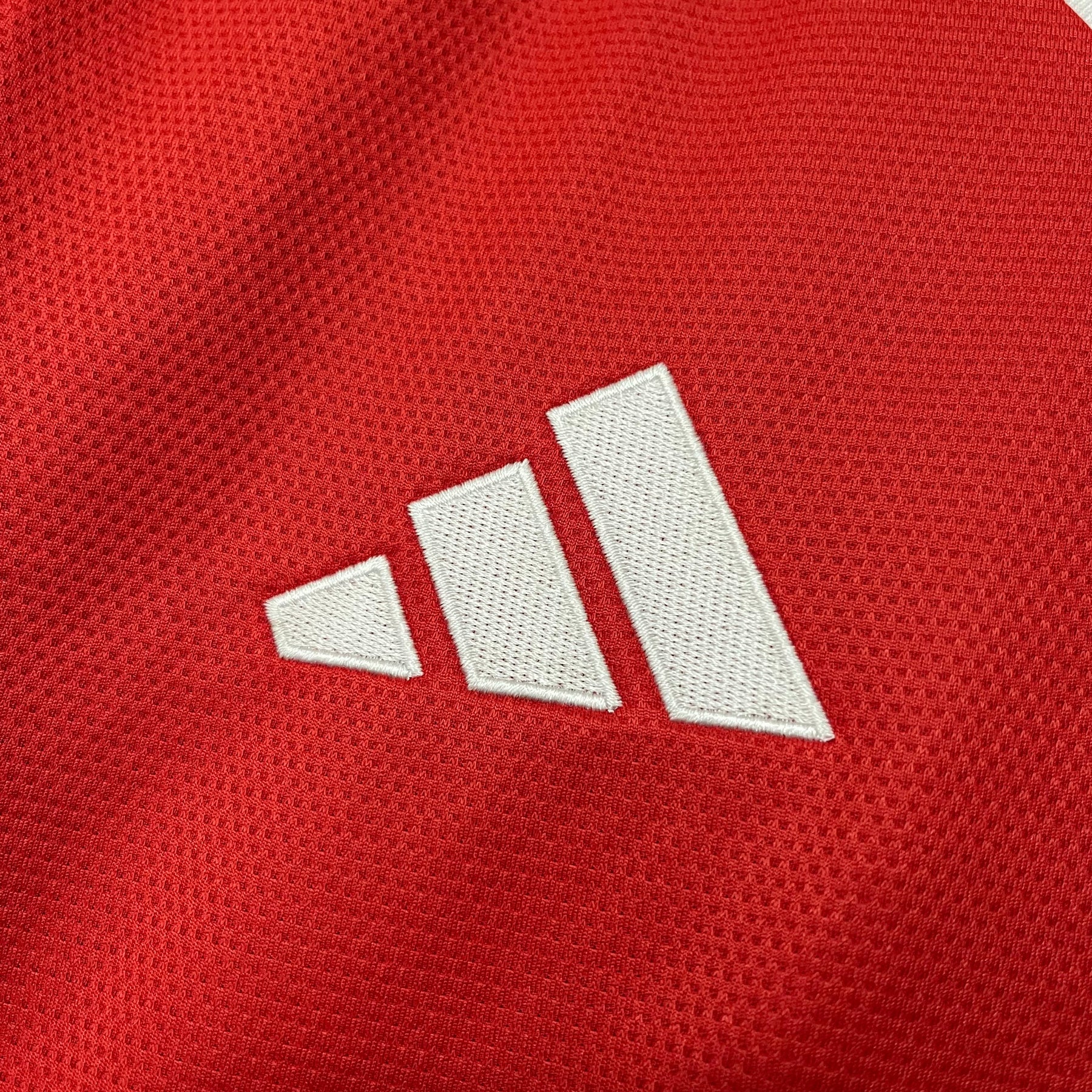 CAMISA INTERNACIONAL HOME 25/26