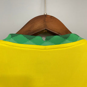 CAMISA BRASIL FEMININA HOME 21/22