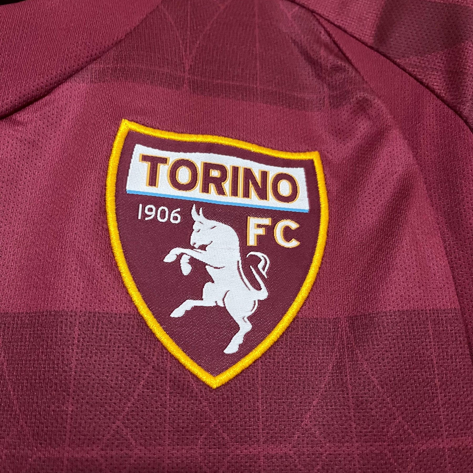 CAMISA TORINO HOME 24/25