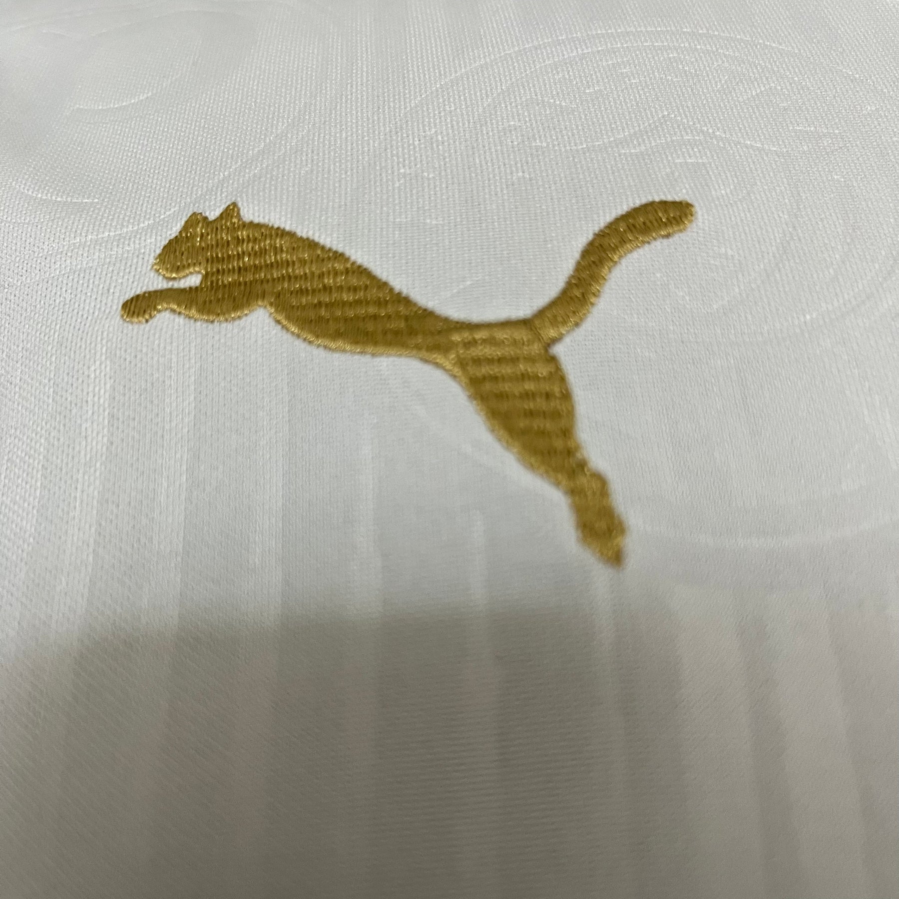 CAMISETA PALMEIRAS AWAY 24/25