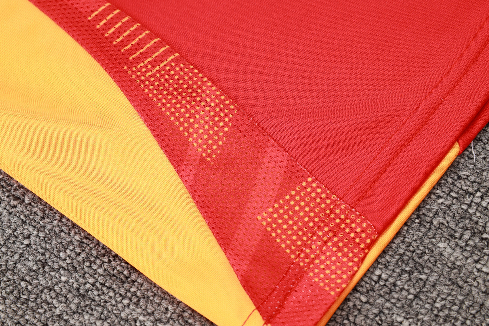 CONJUNTO DE TREINO BAYERN DE MUNICH B927 24/25