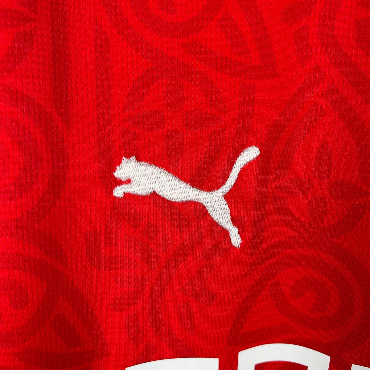 CAMISA RENNES HOME 23/24