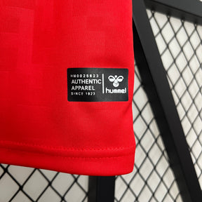 CAMISA DINAMARCA HOME 24/25