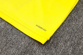 CONJUNTO DE TREINO FLAMENGO YELLOW 24/25