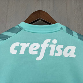 CAMISA PALMEIRAS GOLEIRO VERDE 24/25