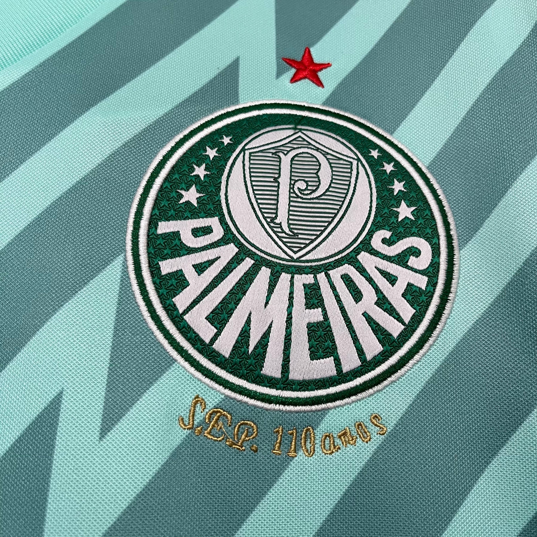 CAMISA PALMEIRAS GOLEIRO VERDE 24/25