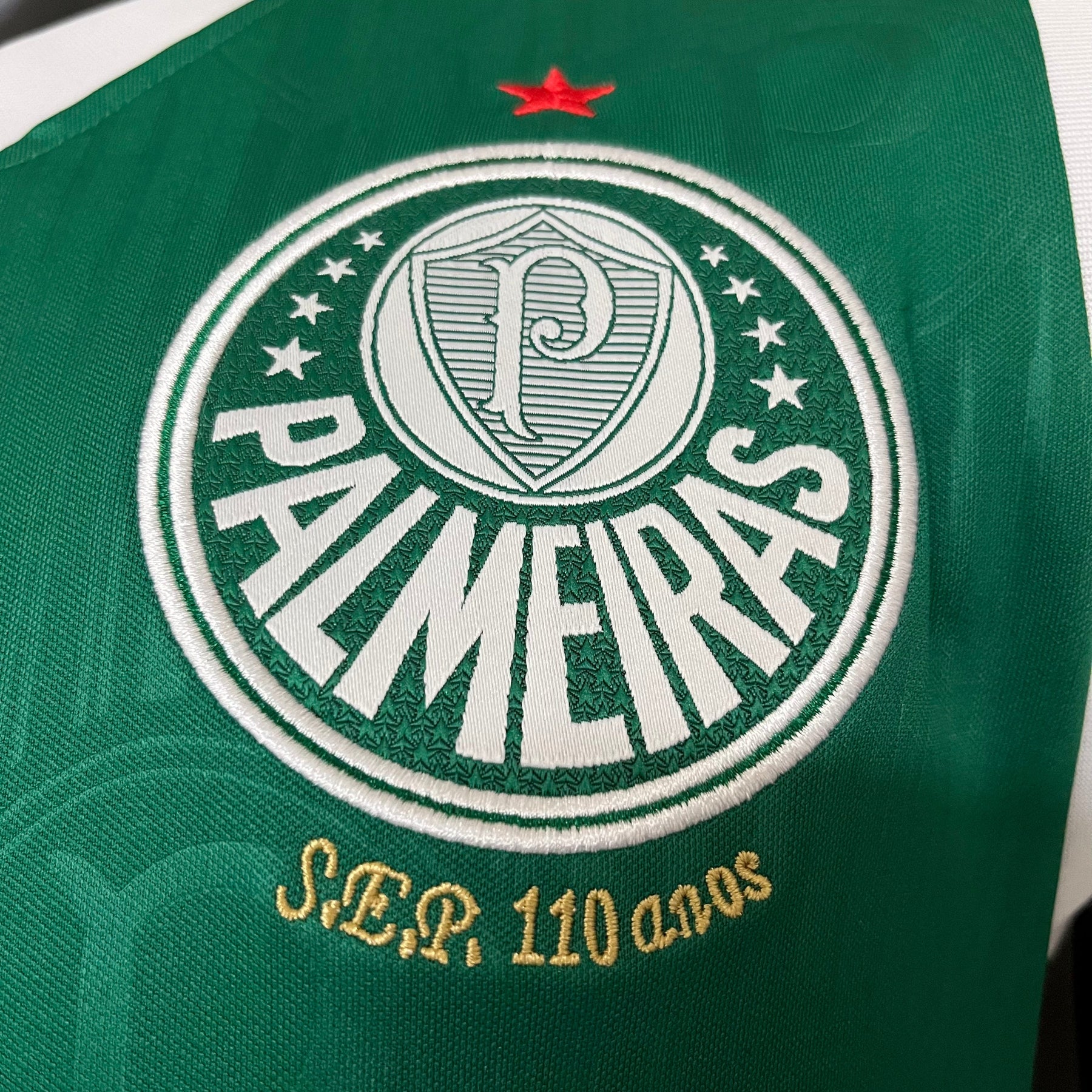 CAMISETA PALMEIRAS HOME 24/25