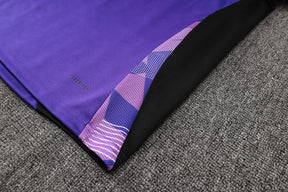 CONJUNTO DE TREINO ALEMANHA PURPLE 24/25