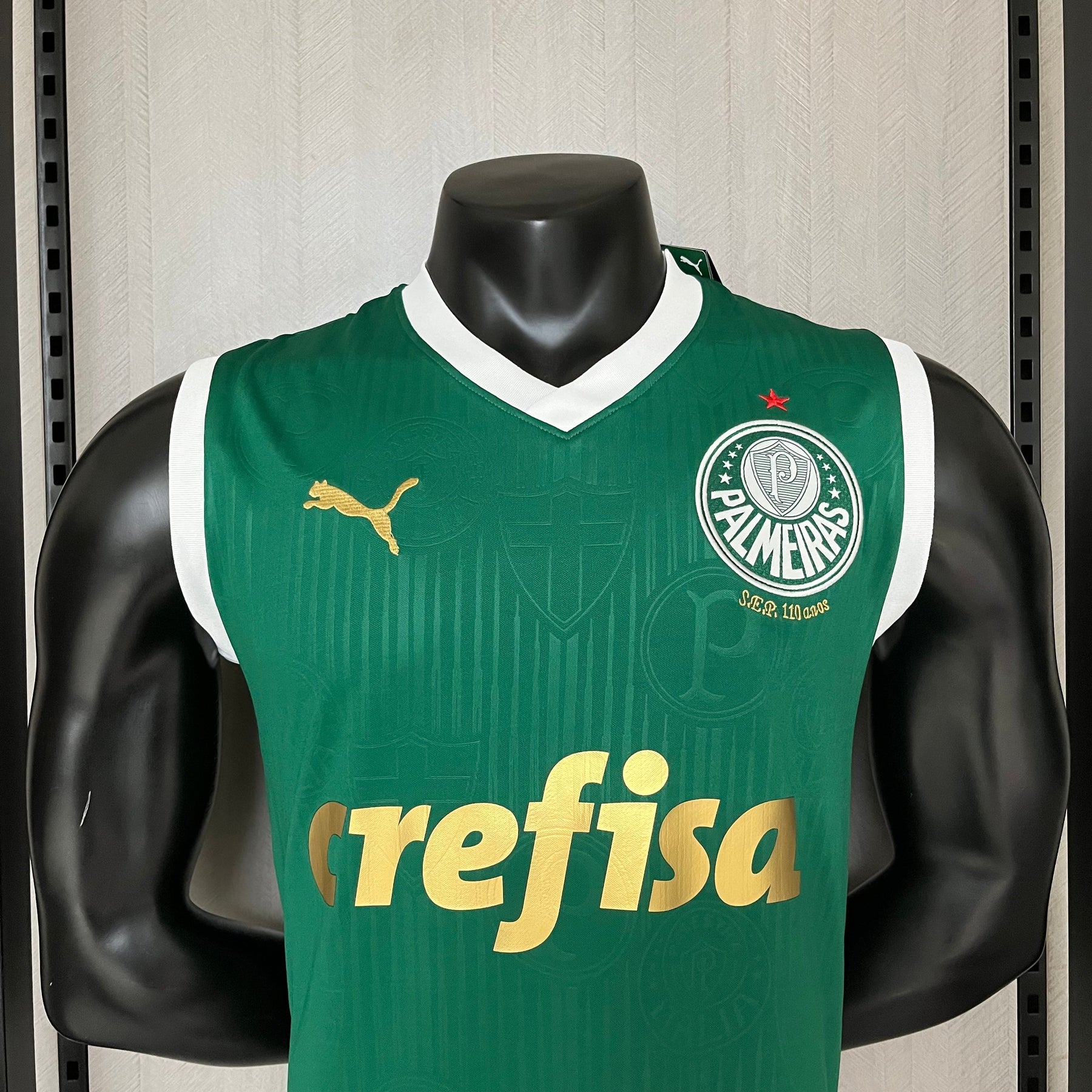 CAMISETA PALMEIRAS HOME 24/25