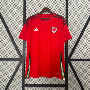 CAMISA PAÍS DE GALÊS HOME 24/25