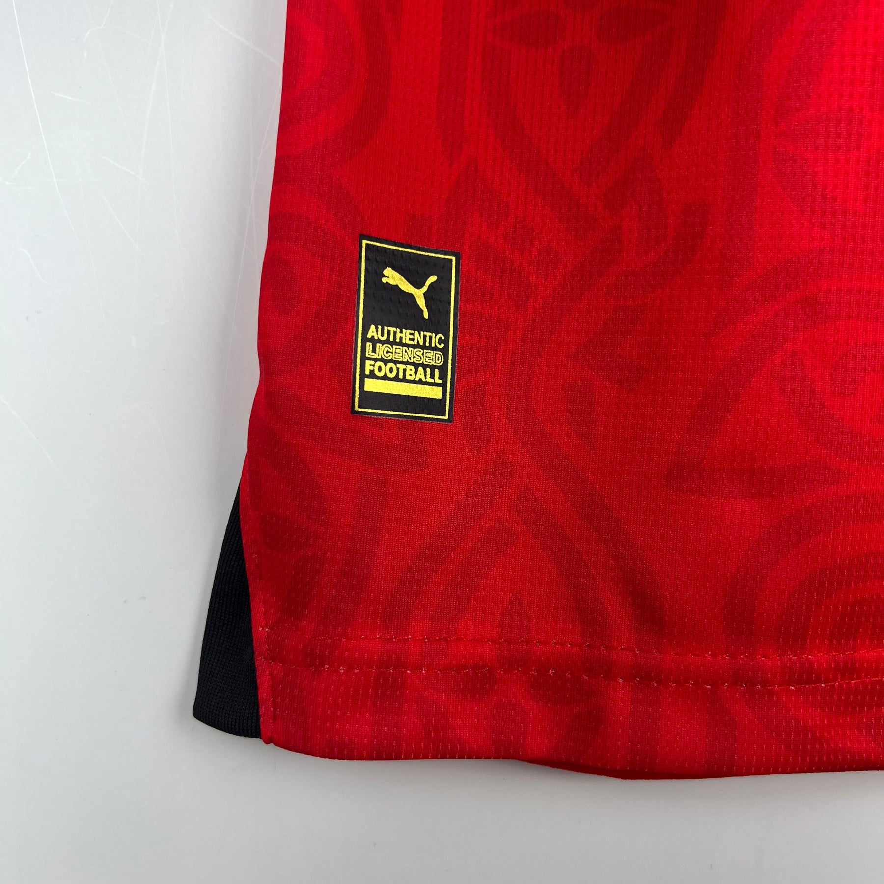 CAMISA RENNES HOME 23/24