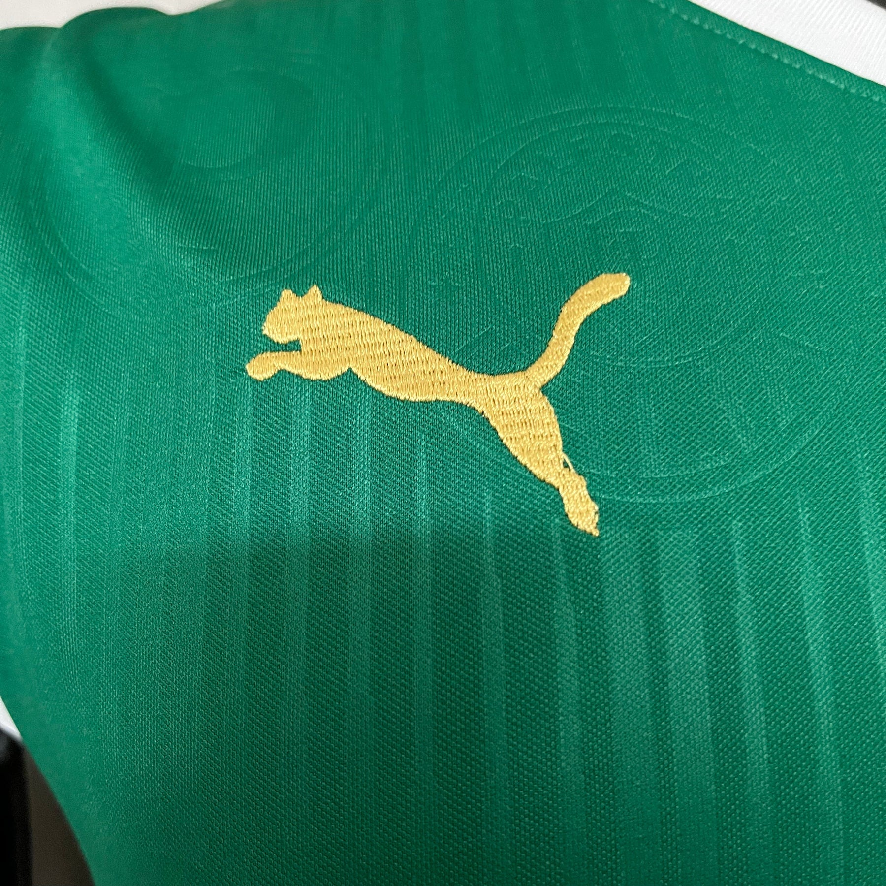 CAMISETA PALMEIRAS HOME 24/25