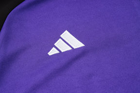 CONJUNTO DE TREINO ALEMANHA PURPLE 24/25