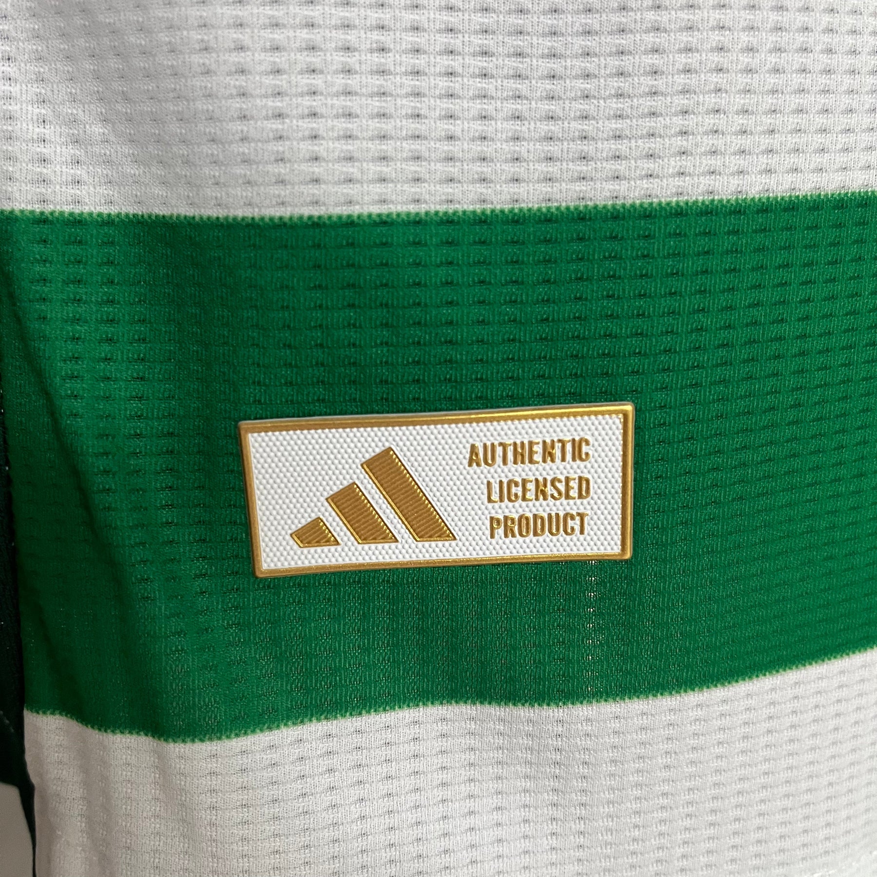 CAMISA CELTIC VERSÃO JOGADOR HOME 24/25