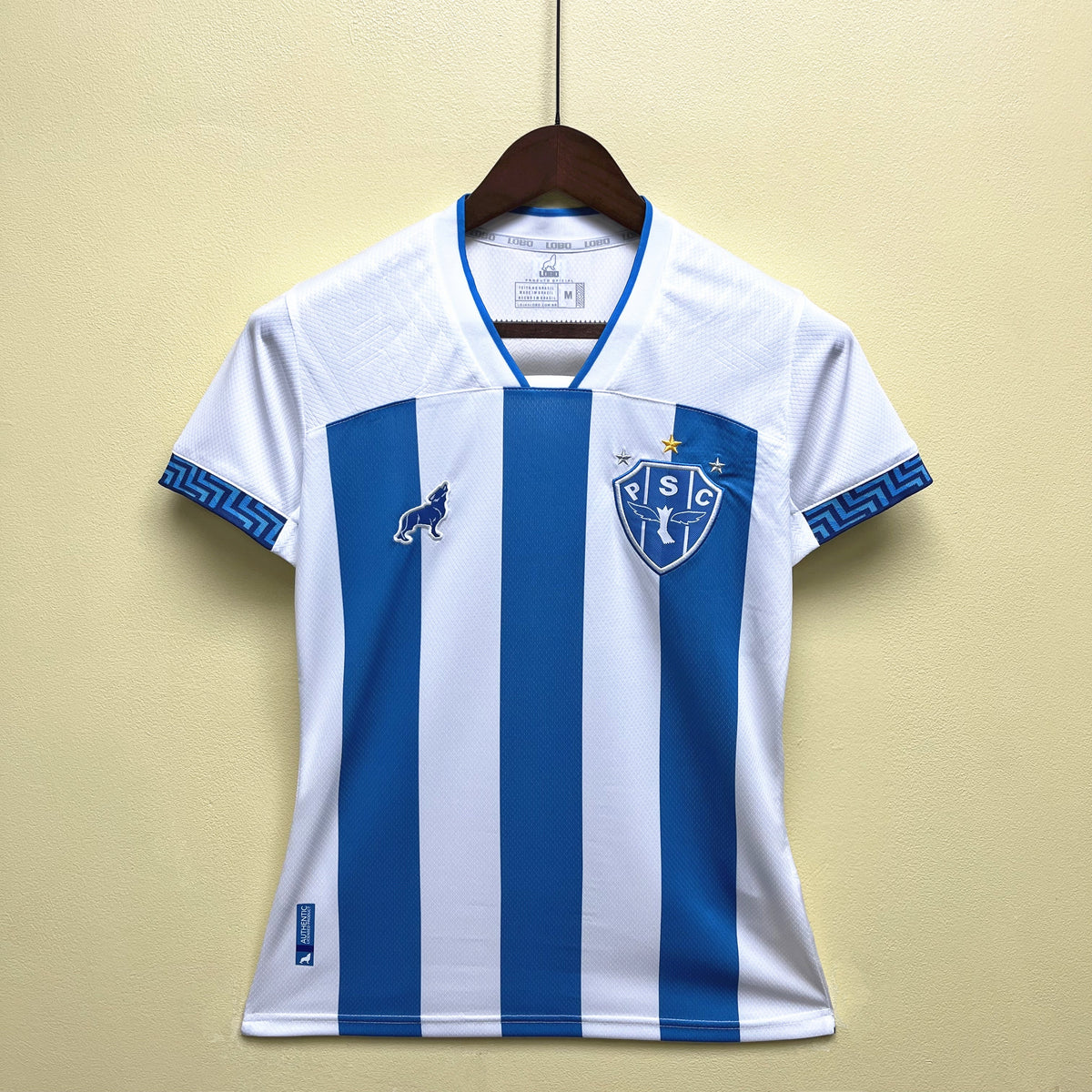 CAMISA PAYSANDU FEMININA HOME 23/24