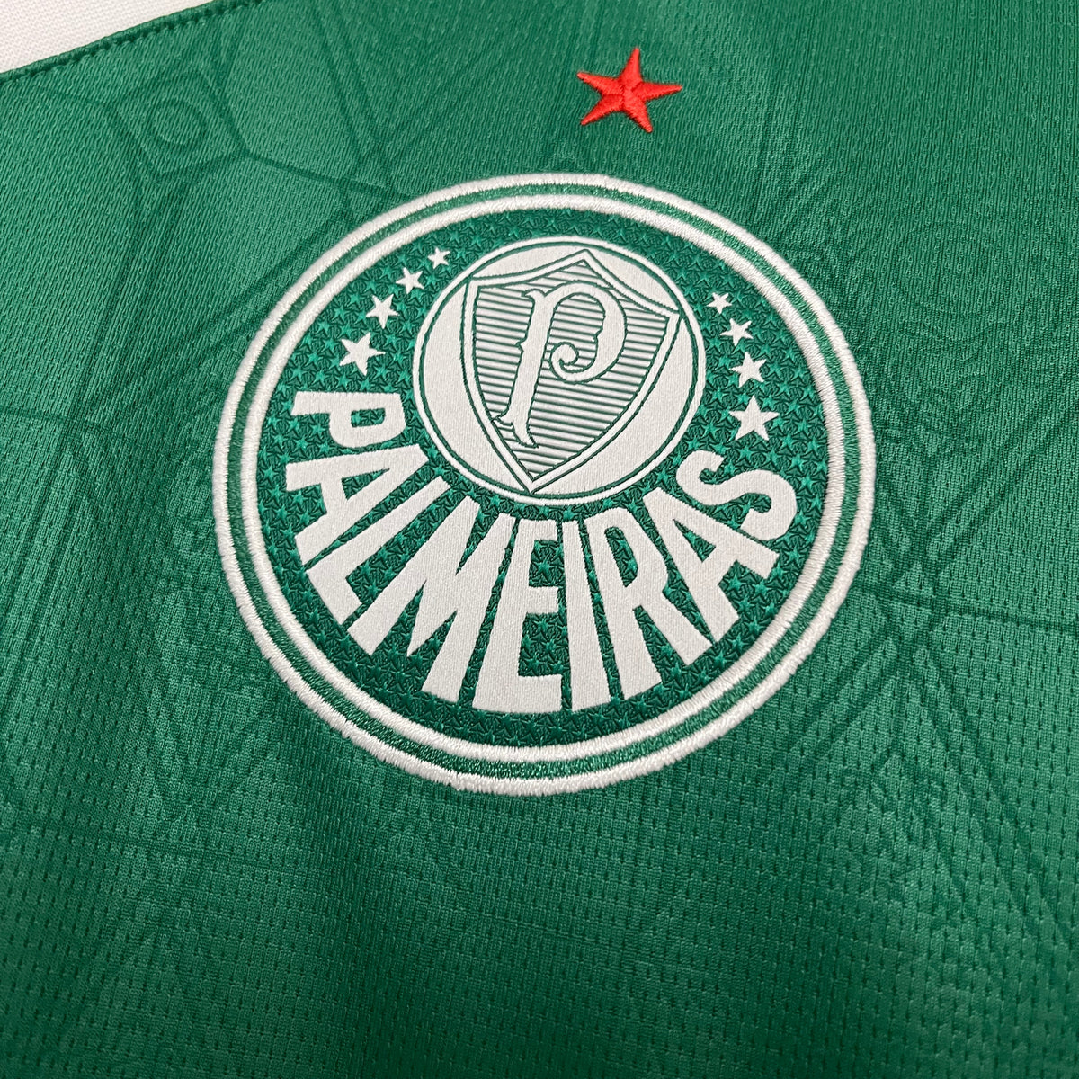 CAMISA PALMEIRAS HOME 25/26