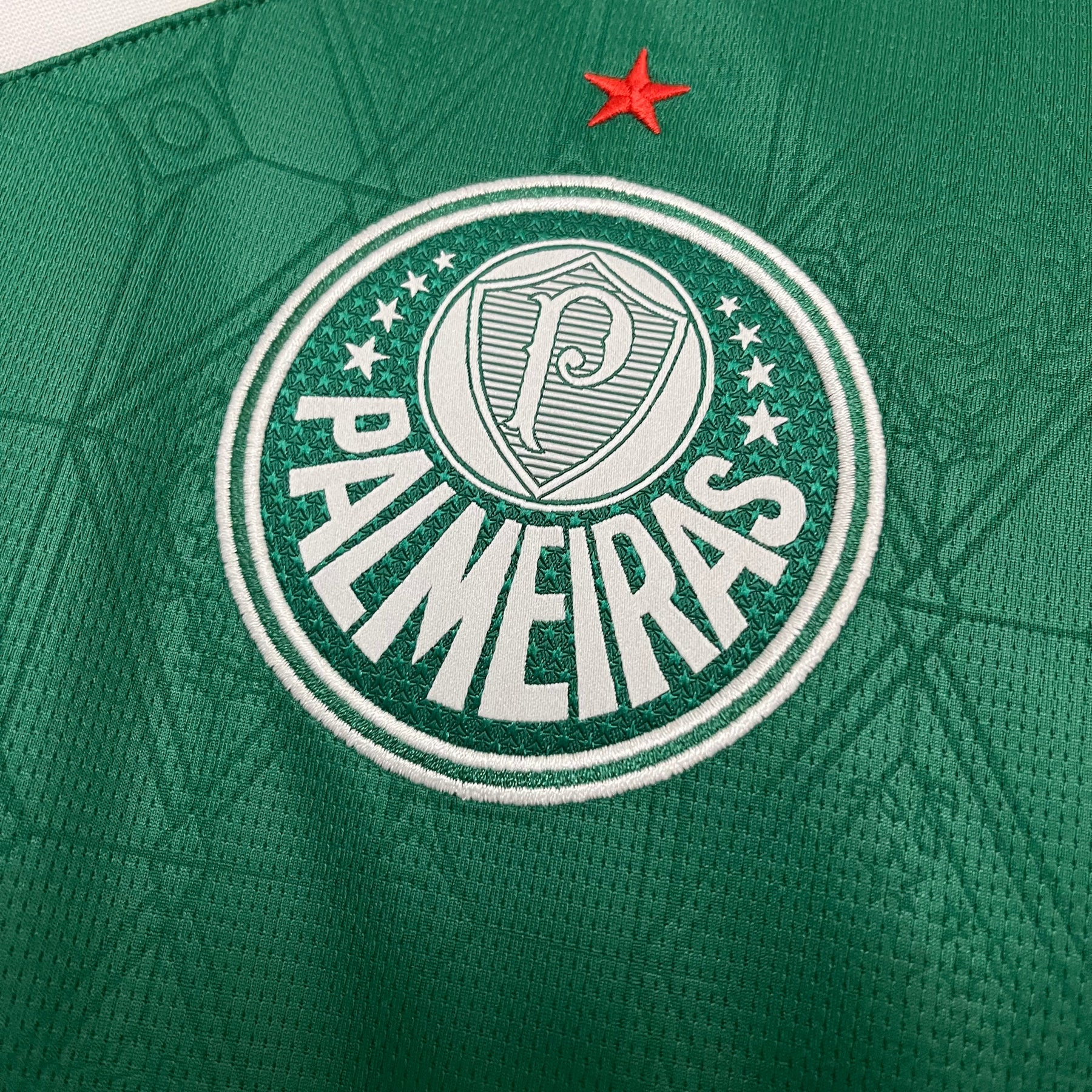 CAMISA PALMEIRAS HOME 25/26