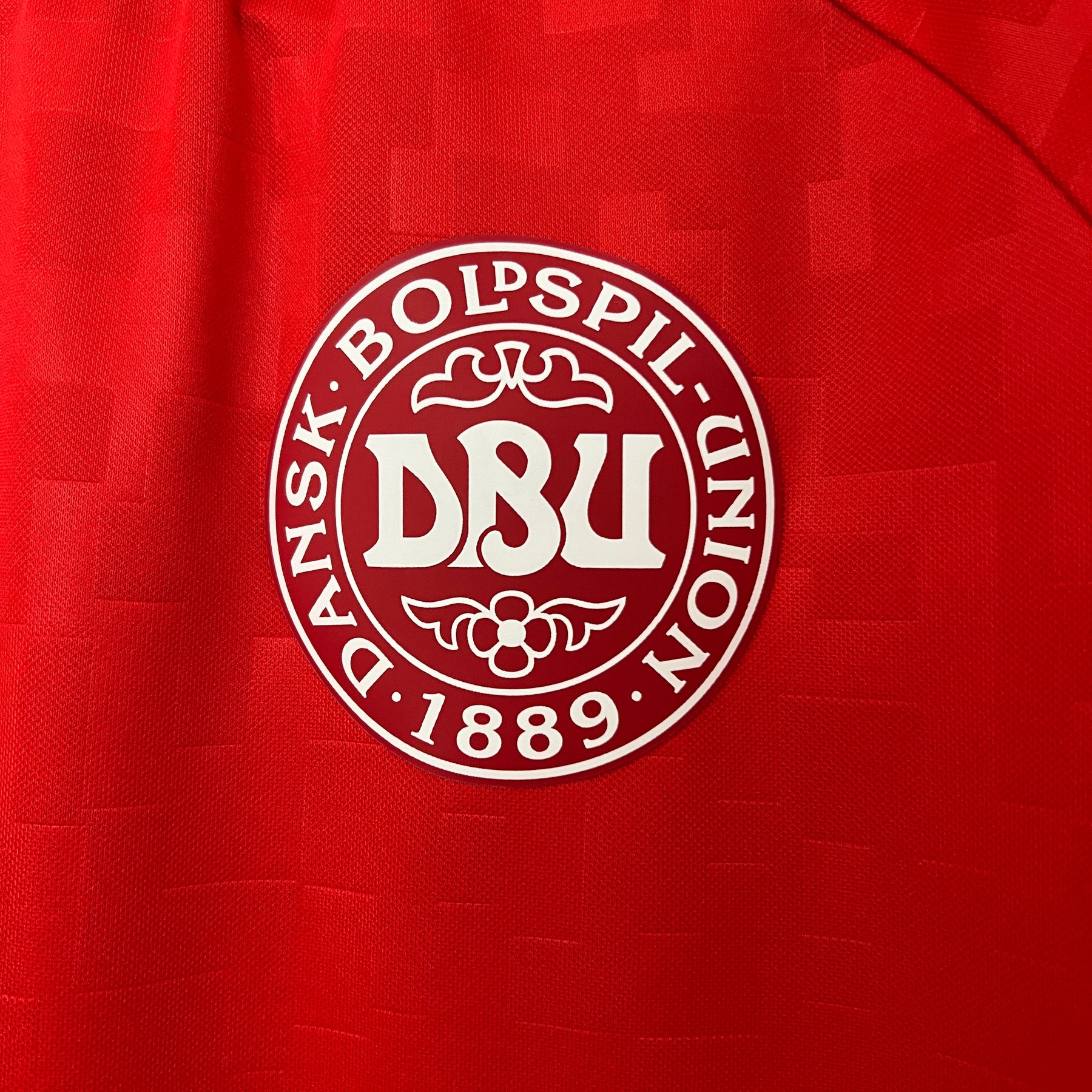 CAMISA DINAMARCA HOME 24/25