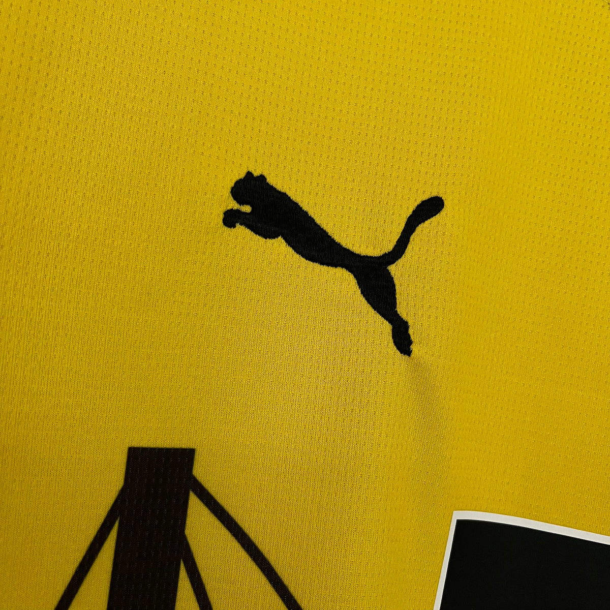 CAMISA BORUSSIA DORTMUND HOME 23/24
