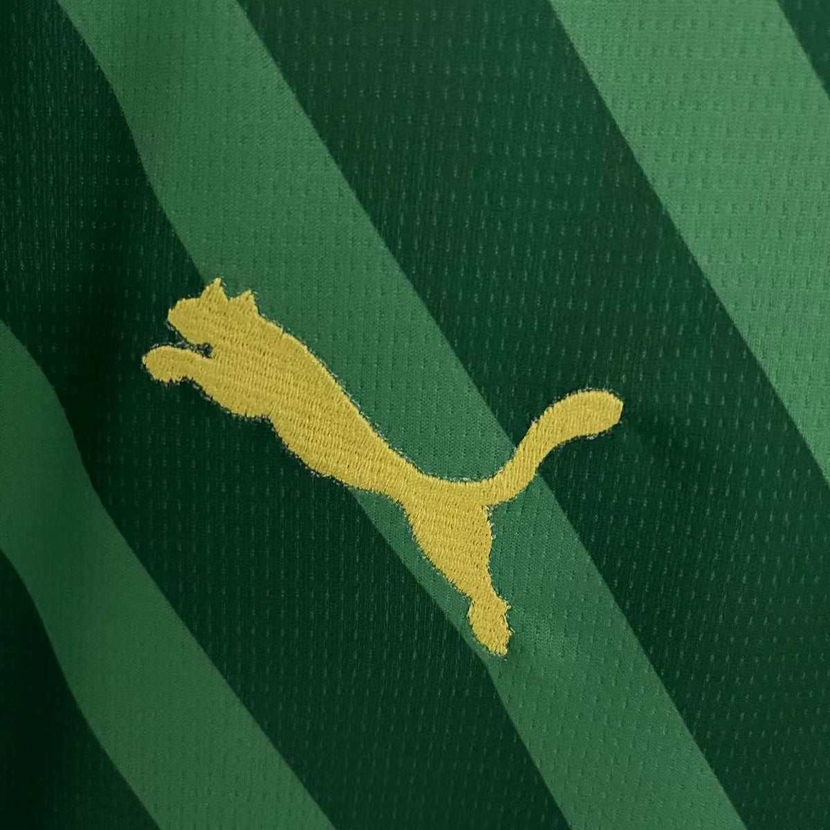 CAMISA MANCHESTER CITY GOLEIRO VERDE 23/24