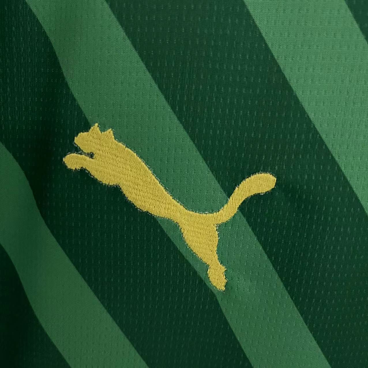 CAMISA MANCHESTER CITY GOLEIRO VERDE 23/24