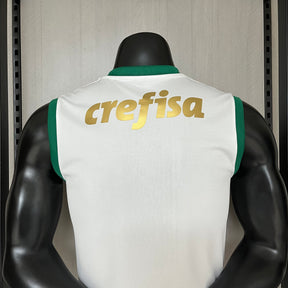CAMISETA PALMEIRAS AWAY 24/25